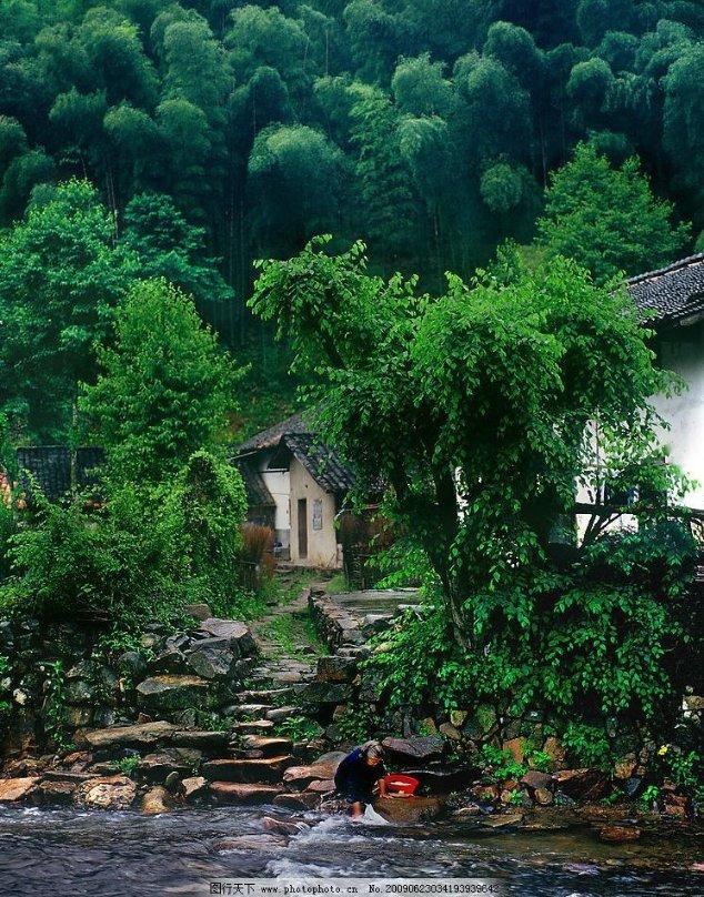 探索天涯 互动交流月季花突然发黄枯萎了,从叶子边缘开始枯萎,请问各位